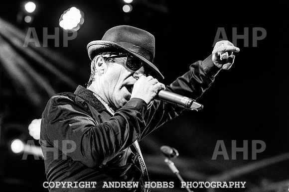 Watchet Live Music Festival 2018_AHP_9169
