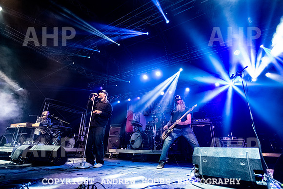 Watchet Live Music Festival 2018_HOB_1318