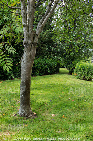 North Hill House School 094