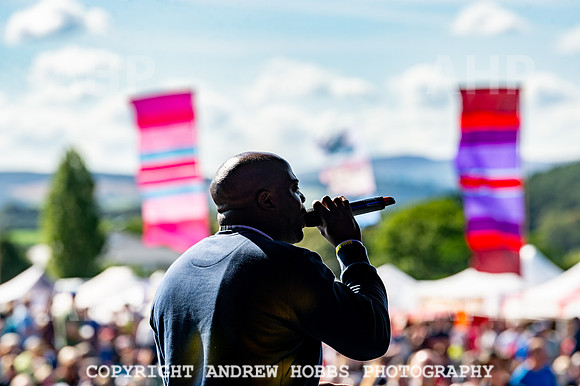 Watchet Live Music Festival 2018_AHP_9943