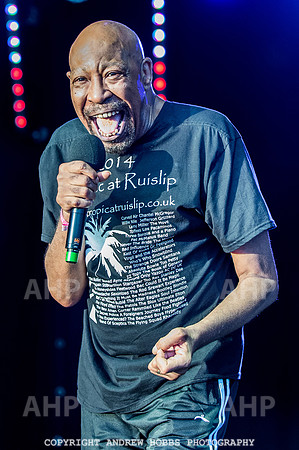 Watchet Festival 2016-5635