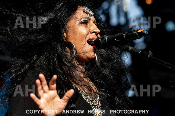 Watchet Live Music Festival 2018_AHP_0206