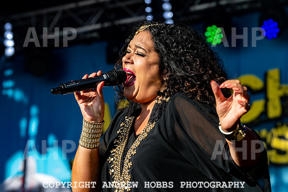 Watchet Live Music Festival 2018_AHP_0215