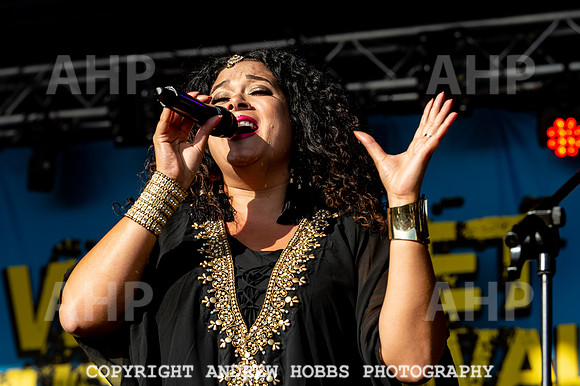 Watchet Live Music Festival 2018_AHP_0233