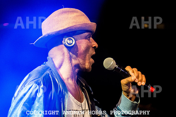 Watchet Festival 2016-5688
