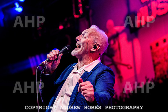 The South (The Beautiful South) -  Watchet Music Festival  2021-6950