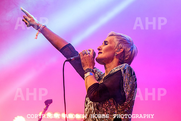 The South (The Beautiful South) -  Watchet Music Festival  2021-6961