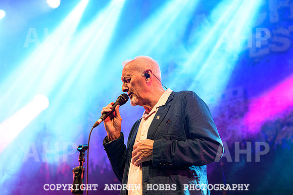 The South (The Beautiful South) -  Watchet Music Festival  2021-6993