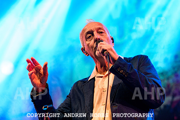The South (The Beautiful South) -  Watchet Music Festival  2021-6987