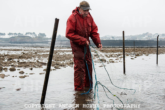 Stake-net Fishing Watchet 2014 013