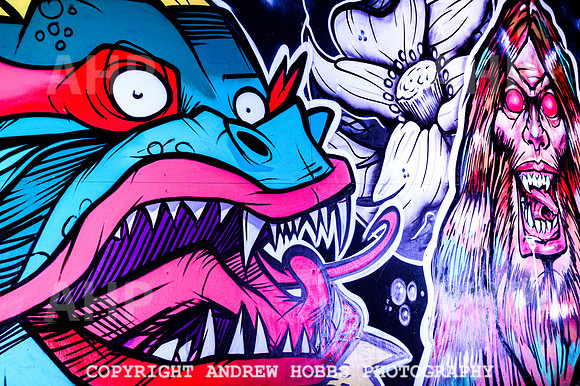 Street Art - NASS 2022-3564