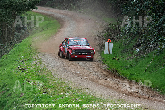 Somerset Stages Rally Chargot Woods_3321