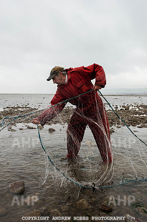 Stake-net Fishing Watchet 2014 010