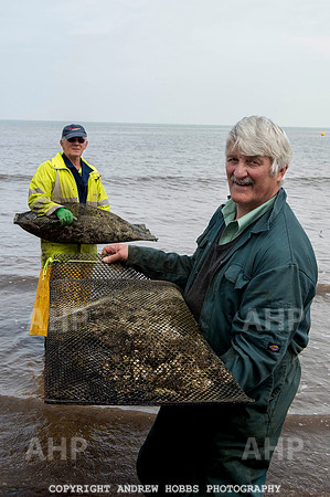 Porlock Oyster Beds 011