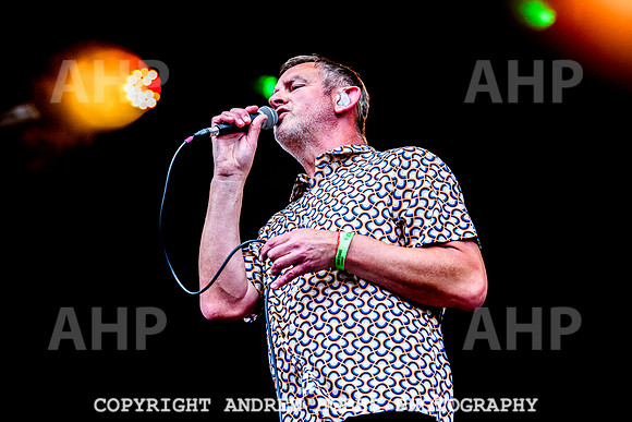 Inspiral Carpets - Beautifdays 2024-9350