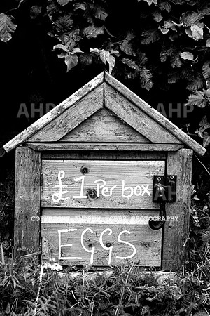 Exford-Visit Exmoor-7727