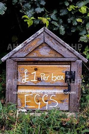 Exford-Visit Exmoor-7726