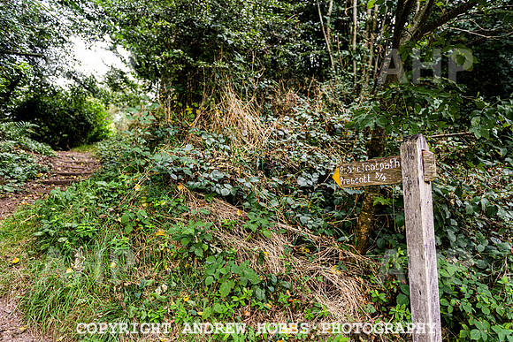 Exford-Visit Exmoor-7725
