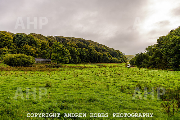 Simonsbath-Visit Exmoor-7735