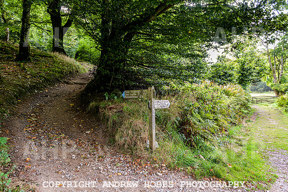 Simonsbath-Visit Exmoor-7731