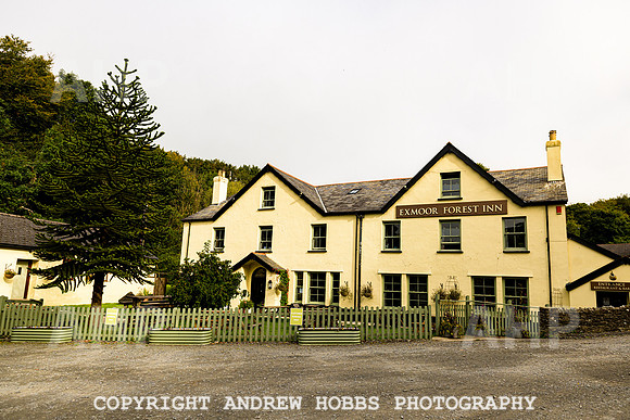 Simonsbath-Visit Exmoor-7739