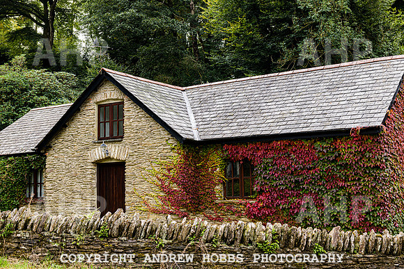 Simonsbath-Visit Exmoor-7742