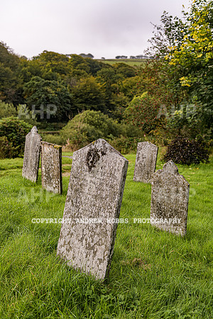 Simonsbath-Visit Exmoor-7763
