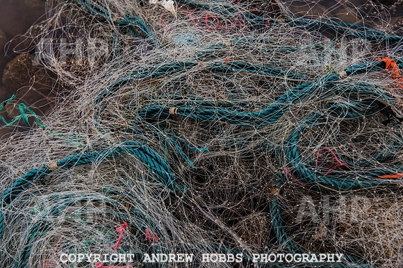 Stake-net Fishing Watchet 2014 011