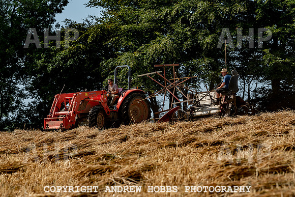 Thatching Reed Harvest 2018_HOB_0018