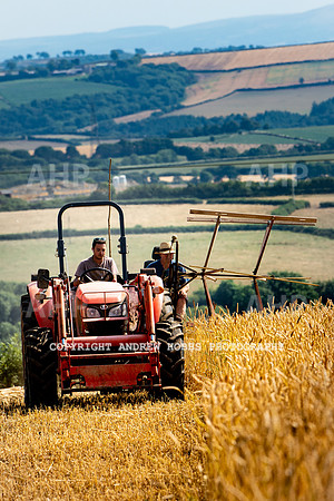Thatching Reed Harvest 2018_HOB_0032