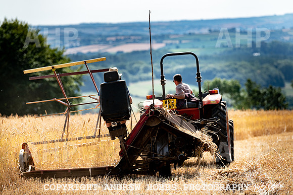 Thatching Reed Harvest 2018_HOB_0041