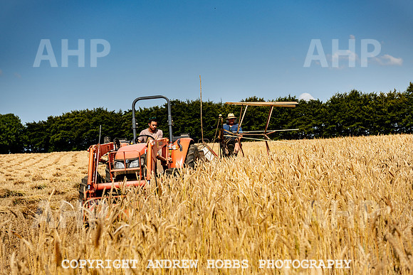 Thatching Reed Harvest 2018_HOB_0045