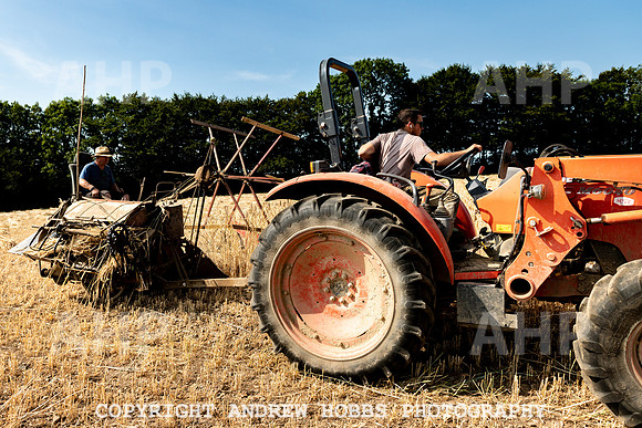 Thatching Reed Harvest 2018_HOB_0058