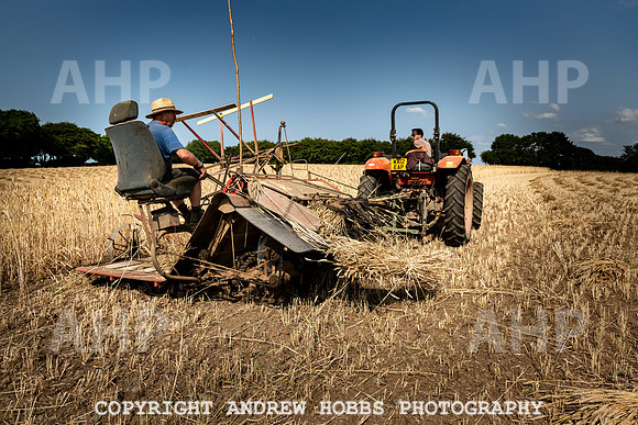 Thatching Reed Harvest 2018_HOB_0068