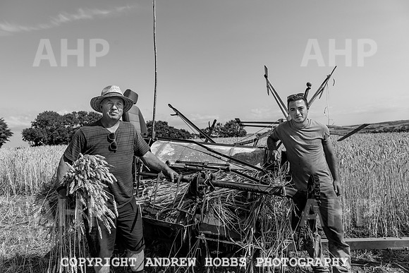 Thatching Reed Harvest 2018_HOB_0084
