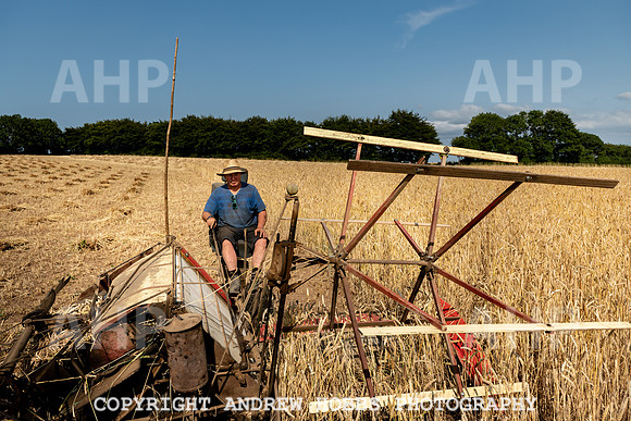 Thatching Reed Harvest 2018_HOB_0103
