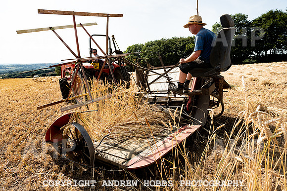 Thatching Reed Harvest 2018_HOB_0139