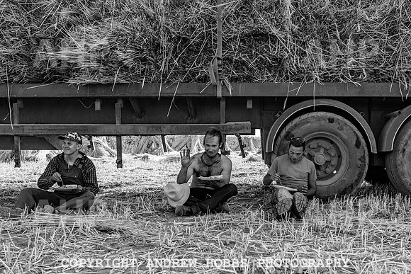 Thatching Reed Harvest 2018_HOB_0187