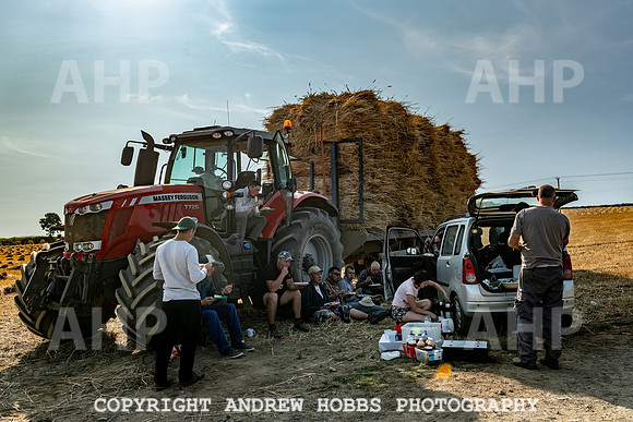 Thatching Reed Harvest 2018_HOB_0189