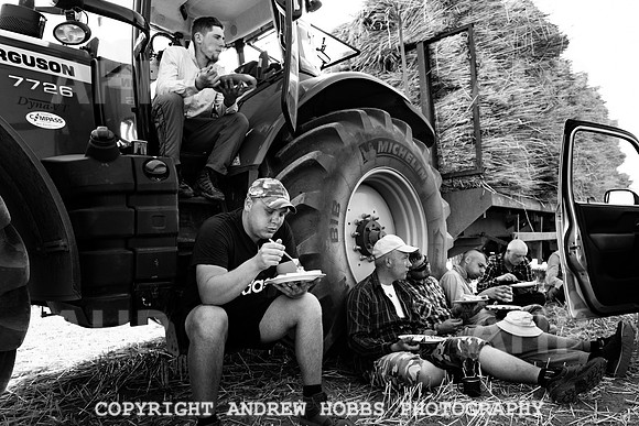 Thatching Reed Harvest 2018_HOB_0190
