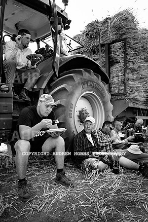 Thatching Reed Harvest 2018_HOB_0191