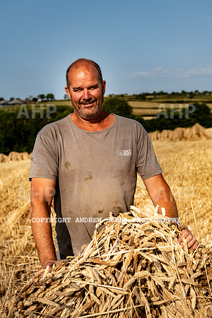 Thatching Reed Harvest 2018_HOB_0219