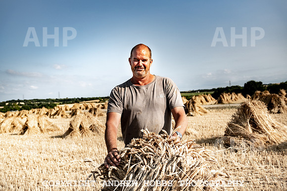 Thatching Reed Harvest 2018_HOB_0222