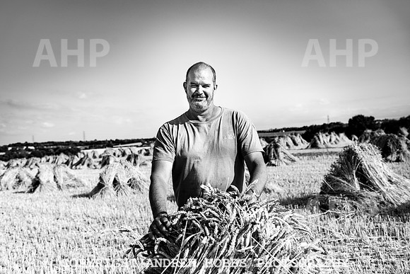 Thatching Reed Harvest 2018_HOB_0223