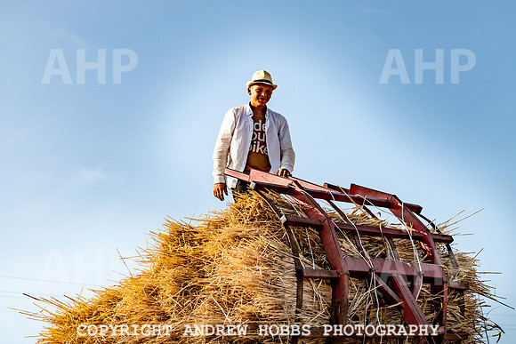 Thatching Reed Harvest 2018_HOB_0241
