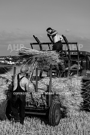 Thatching Reed Harvest 2018_HOB_0261