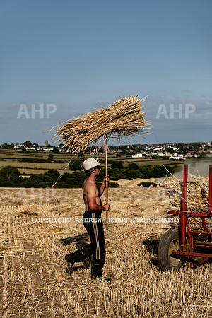 Thatching Reed Harvest 2018_HOB_0262
