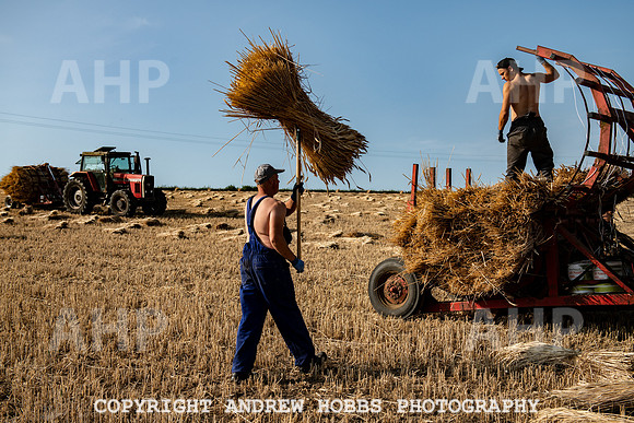 Thatching Reed Harvest 2018_HOB_0266