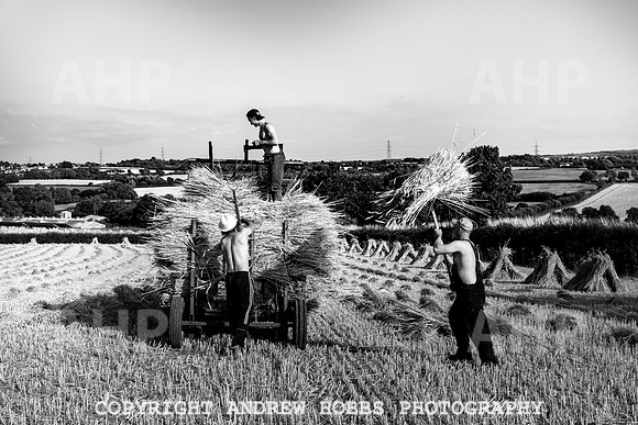 Thatching Reed Harvest 2018_HOB_0305
