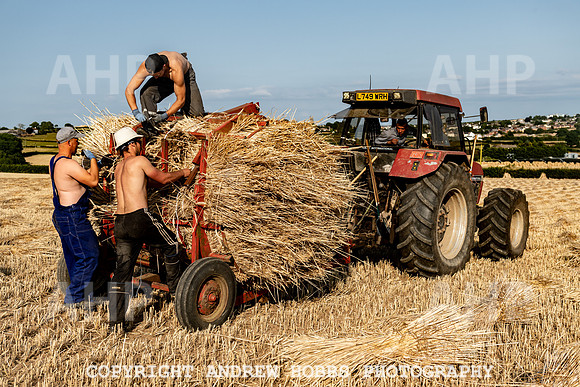 Thatching Reed Harvest 2018_HOB_0322